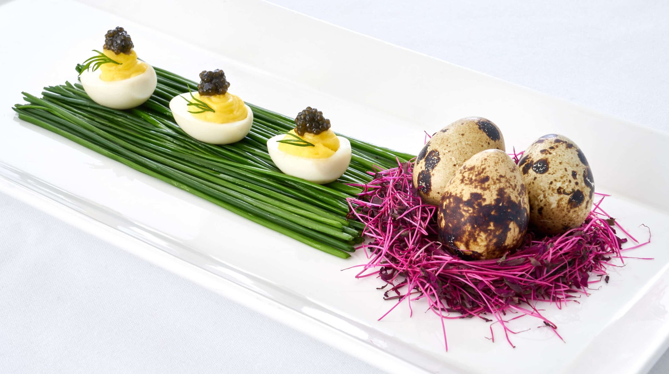 Gotham Catering And Event