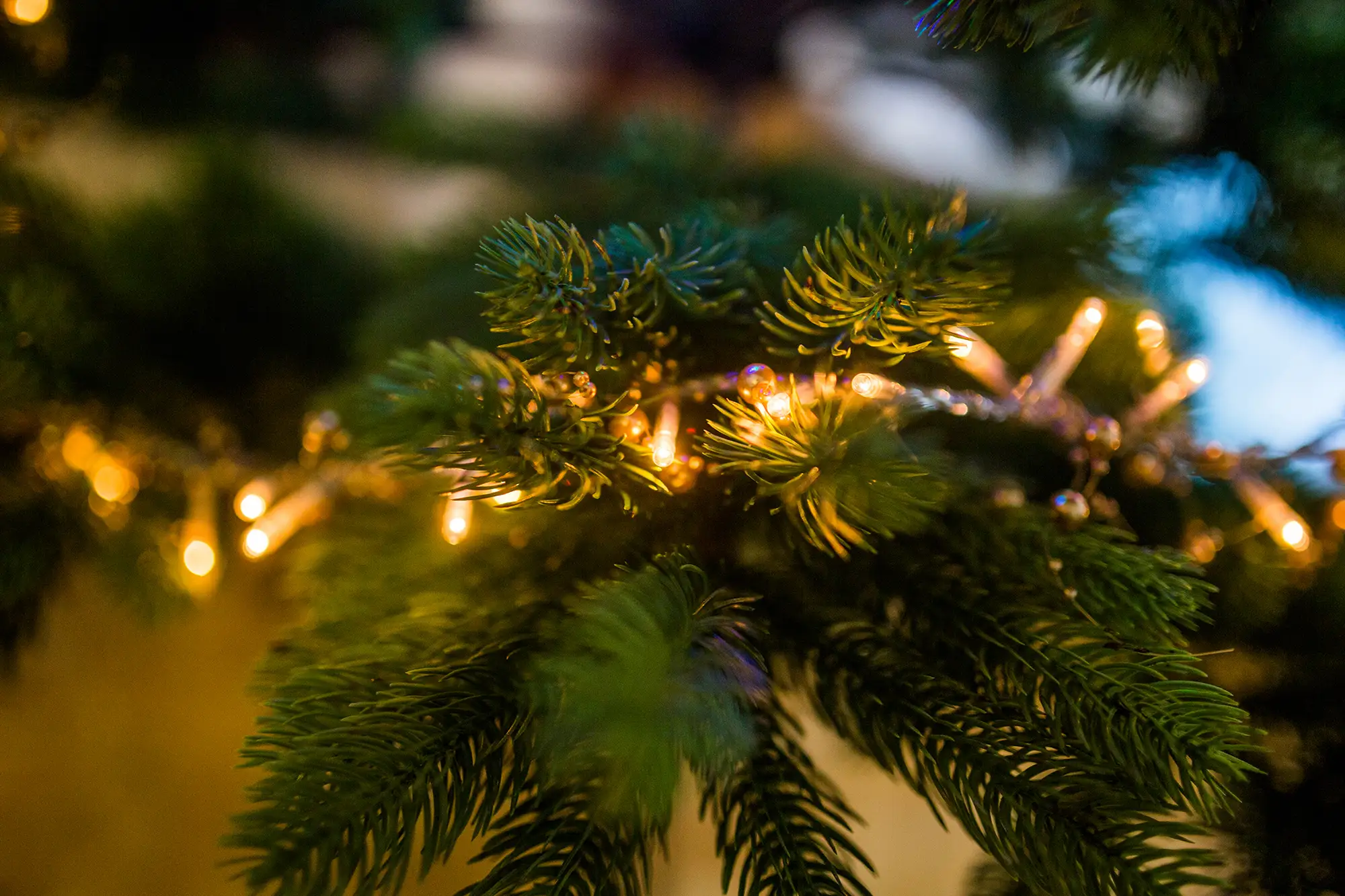 office holiday parties ideas and catering